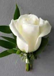 Benchmark bouquets white roses and white oriental lilies, no vase (fresh cut flowers). The Flower Alley Novi Mi Same Day Delivery For Mother S Day Flower Arrangements Mother S Day Gifts Delivery Fresh Spring Flowers And Admin Day Gifts In Novi Northville South Lyon Plymouth