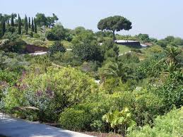 Im jinyuan viertel von taiyuan im norden chinas soll ein neuer botanischer garten entstehen. Botanischer Garten In Barcelona Jardi Botanic Lohnt Er Sich