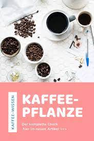 Die Kaffeepflanze Im Check Kaffeepflanze Kaffee Pflanzen