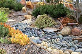 When you're designing with succulents, plants are chosen for their colors, textures and growth habits. Succulent Landscape Design Ideas How To S Videos Debra Lee Baldwin Succulent Expert