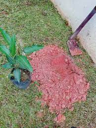 Sebaliknya berilah kekuatan kepada para anggotanya untuk. Nak Tanam Pokok Pun Ada Doanya Ni Dikongsikan Untuk Yang Belum Tahu Keluarga