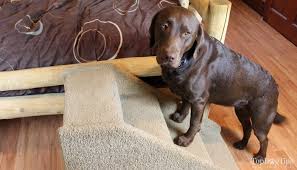 A dog ramp designed for large dogs can be the ideal way for your dog to climb into your car the heeyoo upgraded nonslip dog steps are designed to help your dog get into your vehicle easily. Dog Ramps Vs Dog Stairs And Dog Steps How Do You Decide