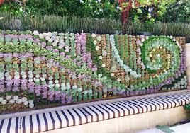 Succulent Wall Art Succulent Wall Garden Garden Wall Art Vertical Garden