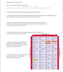 solved worksheet on the genetic code here is a section of