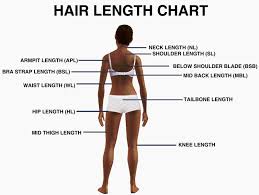 As we stated above, hair length directly influences your hair length appears. Ever Get Stuck Trying To Describe Hair Length Here S A Guide Writingcirclejerk