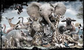 Erekerek kode alam didekati kucing. Ramalan Erek Erek Mimpi Hewan Harimau Lengkap