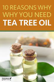 10 Ways Tea Tree Oil Is Good For Your Health Tea Tree Oil Tea Tree Oil Uses Tree Oil
