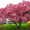 But it doesn't hurt to give them a little extra love occasionally with the help of fertilizer. 1