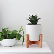 Don't forget to save this helpful list for later! Tiny Plant Pots