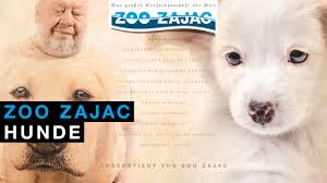 12.000 m² große ladenfläche umfasst über 1000 aquarien, 70 teichbecken, 500 terrarien, 40 volieren, eine katzenanlage. Zoo Zajac Hunde Youtube