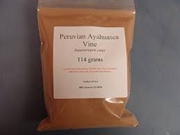 Buy Ayahuasca Kit Mimosa And Caapi How To Make Ayahuasca Tea
