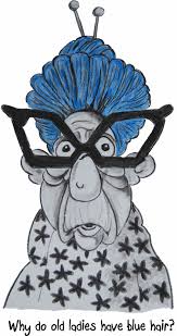 Hair and the older woman as we age, our hair loses some of its elasticity, density and may develop changes in texture and wave pattern. Old Lady S With Blue Hair Cartoon People Mary And Max Cartoon