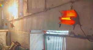 मध्य प्रदेश: ग्वालियर चिड़ियाघर में जानवरों को ठंड से बचाने के लिए विशेष  उपाय