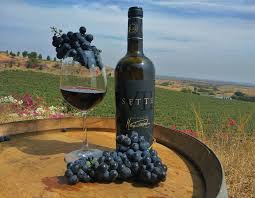 Wine intelligence was delighted to support the drinks international most admired wine brands publication this year. 9 Indian Wine Brands You Must Add To Your Collection Architectural Digest India