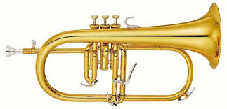 24 donkey round accent on achievement trumpet. Hybrid Referent Portmanteau Name Arnold Zwicky S Blog