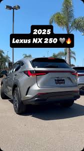 Image result for Atomic Silver 2025 LZ