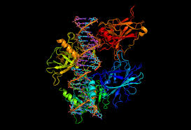 Protein structure is determined by amino acids sequences. Protein Analysis Techniques Explained Ata Scientific