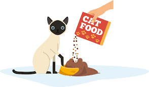 If you have a diabetic cat, their diet is very important. The Complete Guide To Feline Nutrition We Re All About Cats