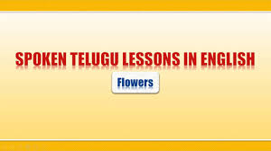 However, that only tells half the story of the symbolic meanings of yellow coloured blooms. Flowers Names In English Hindi Telugu Learn Telugu Hindi English Pr Learning Lab