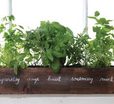 These small herb planters are very simple to make. 50 Cheap And Easy Diy Herb Garden Ideas Prudent Penny Pincher