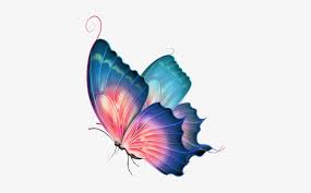 Maybe you would like to learn more about one of these? Angel Wings Butterfly Editing Picsart Pretty Www Picturesboss Beautiful Butterfly Png Free Transparent Png Download Pngkey