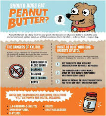 Dangers Of Sugar Free Peanut Butter To Dogs Pet Emergency Pet Care Pet Sitting