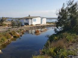 Camargue Proximite De Port Saint Louis Du Rhone Saint Louis Camargue Rhone