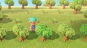 Organize Your Trees Into Orchards For Easier Farming Grow Animals Animal Crossing Animal Crossing Wild World
