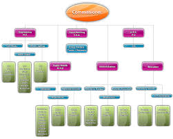 Organisation Chart Karimnagar India