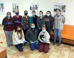 Veterinarians in Lexington, KY