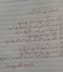 They can run faster even when they have heavy loads on them. Five Sentence About Camel In Urdu Urdu Brainly In