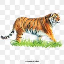 Good Vibes Tiger Face For T Shirt Design Good Clipart Symbol Tiger Png And Vector With Transparent Background For Free Download In 2021 Animal Line Drawings Watercolor Tiger Animal Clipart