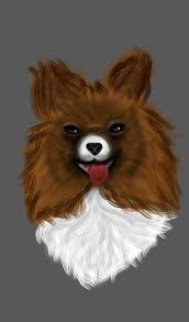 كلب كيوت رسمي الفن والرسم Amino