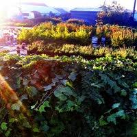 Maybe you would like to learn more about one of these? K Yuge Nursery Farm