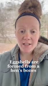 Did you know about the medullary bone? #chickens #backyardchickens #chicken  #poultry #crazychickenlady