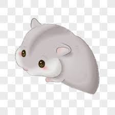 This image finder can find image sources over multiple search engines. 120000 Vector Hamster Hd Photos Free Download Lovepik Com