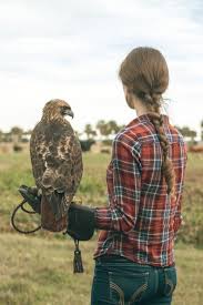 Birds Of Prey In Georgia Usa Pin On Falconry Austringers With Apprentice Study Resources
