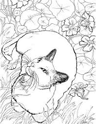 Free realistic sloth coloring pages printable for kids and adults. Realistic Cats Coloring Book Page