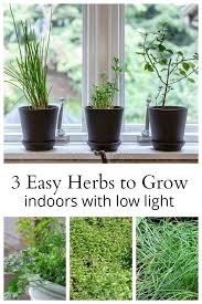 Maybe you would like to learn more about one of these? The Easiest Herbs To Grow Indoors With Low Light Hearth And Vine