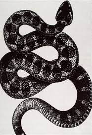 Nuloom Thomas Paul Power Loomed Serpent Area Rug Or Runner Walmart Com In 2021 White Area Rug Black And White Design Black And White