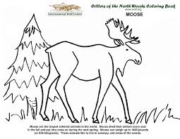 So there are 400 pages (200 with borders & 200 without borders) you can use to create amazing books. Coloring Book International Wolf Center