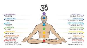 Maybe you would like to learn more about one of these? Yoga Poses For Thyroid Curing Thyroid With The Help Of Yoga Amayaan