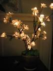 Cherry Blossom Trees - Christmas Trees Lights