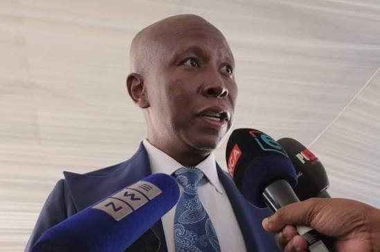 The president should fire Mchunu': Julius Malema wants the axe to fall on the police minister | News24