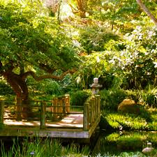 San Francisco Botanical Garden Garden Buildings Outdoor Famous Gardens