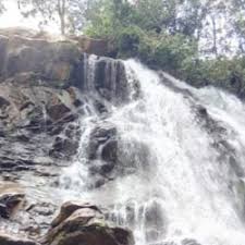 Shimsha falls or ganalu falls: Sirimane Water Falls Sirimane Falls Road Tourist Attraction In Chikmagalur Justdial