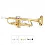 Brass instruments for sale from m.glarrymusic.com