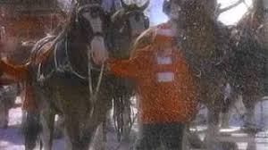 Budweiser christmas commercial / youtube screenshot. Budweiser Christmas Advert 1987 Youtube