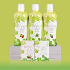 Image result for Aloe nuttii