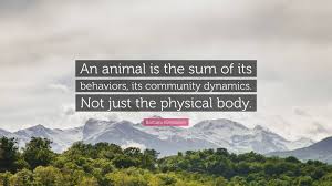 Free for commercial use no attribution required high quality images. Barbara Kingsolver Quote An Animal Is The Sum Of Its Behaviors Its Community Dynamics Not Just The Physical Body 2 Wallpapers Quotefancy